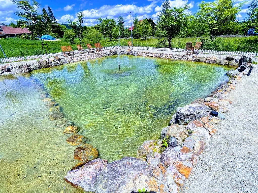 四季の郷 釣り堀