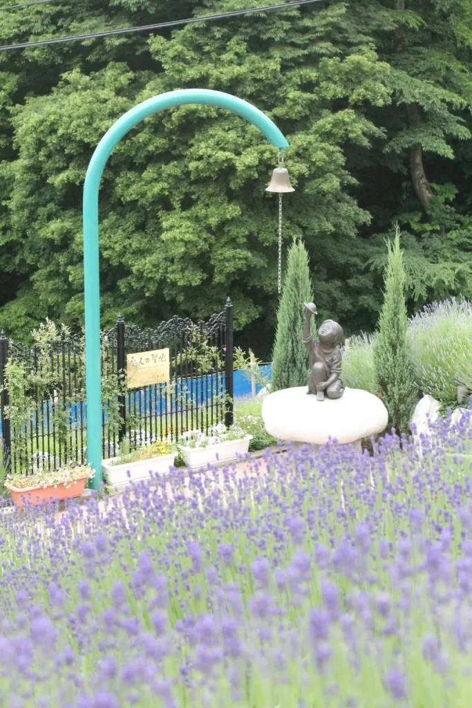 あぶくま洞 ラベンダー畑